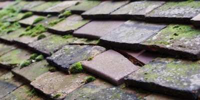 Llandilo Yr Ynys roof repair costs
